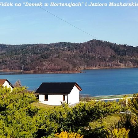 Domek W Hortensjach Mucharz Buitenkant foto